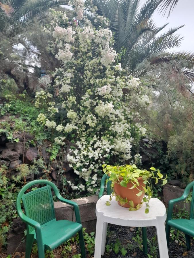 Apartamento -the Garden - Las Palmas de Gran Canaria